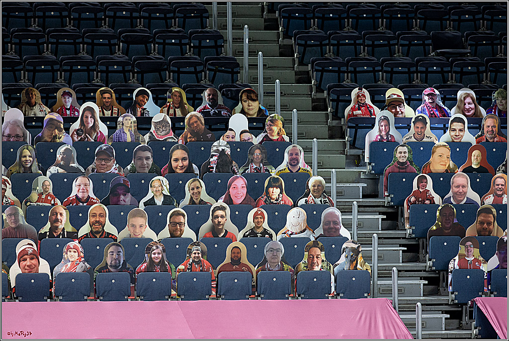 PENNY DEL;  Koelner Haie - Fischtown Pinguins Bremerhaven; Koeln, 12.02.2021